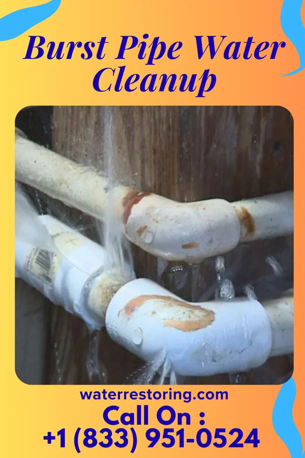 Burst Pipe Water Cleanup in Poydras, LA