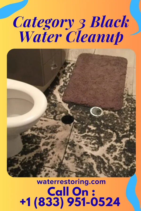 Category 3 Black Water Cleanup in Poydras, LA