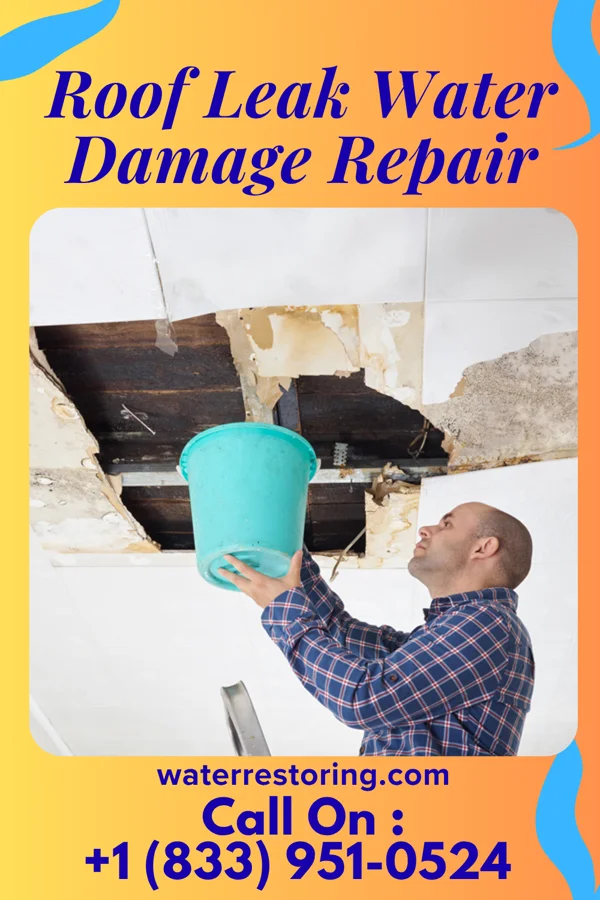 Roof Leak Water Damage Repair in Poydras, LA
